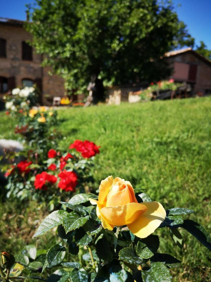 Da Foschetta Villa Мателика Екстериор снимка
